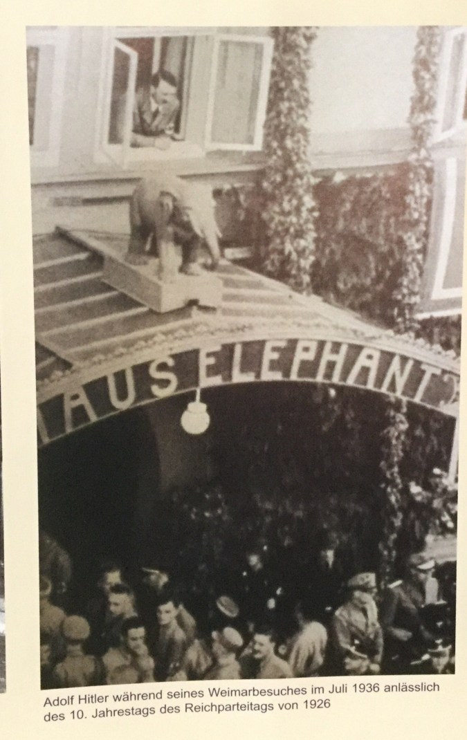 Processed with MOLDIV