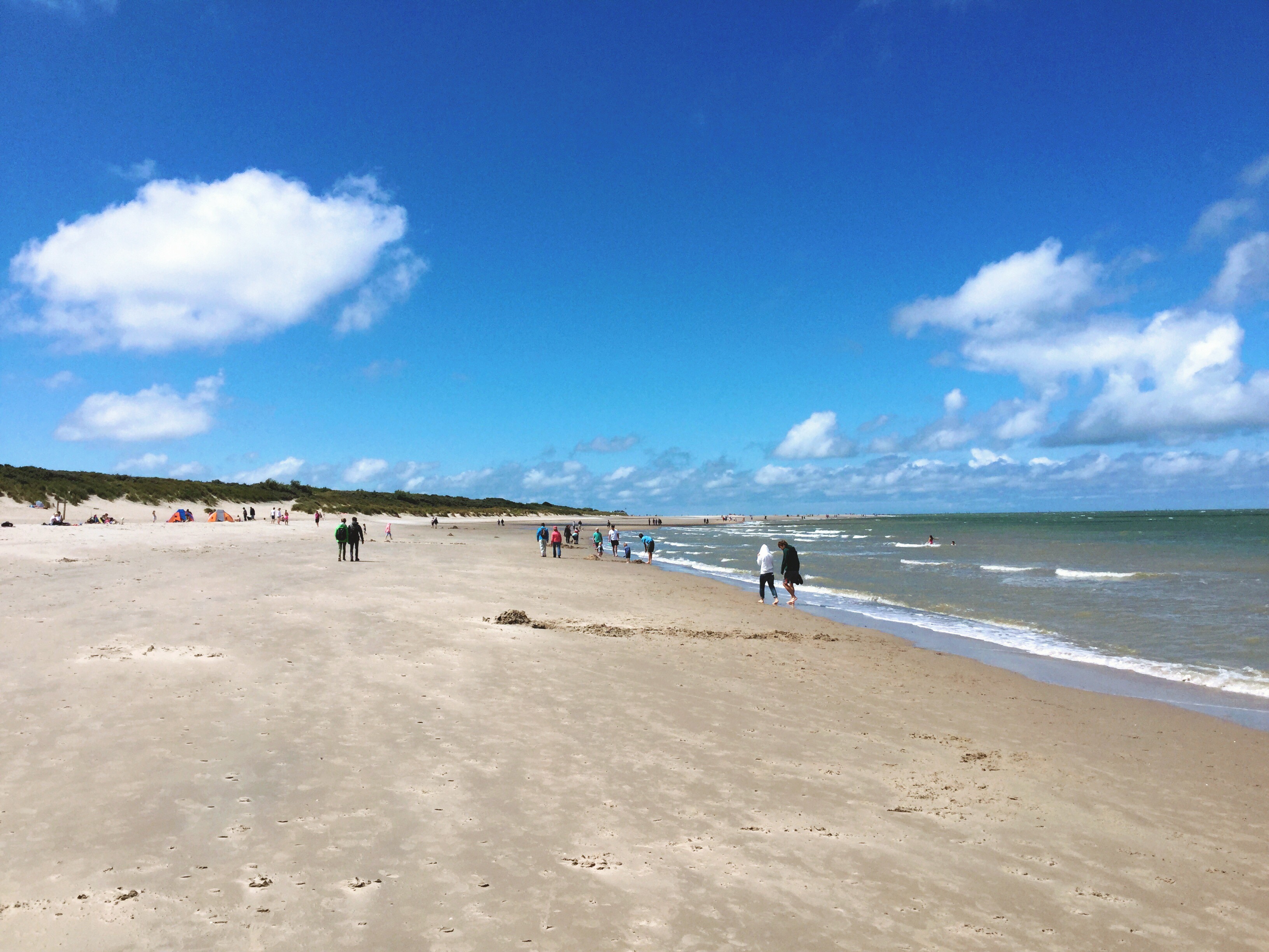 Processed with MOLDIV